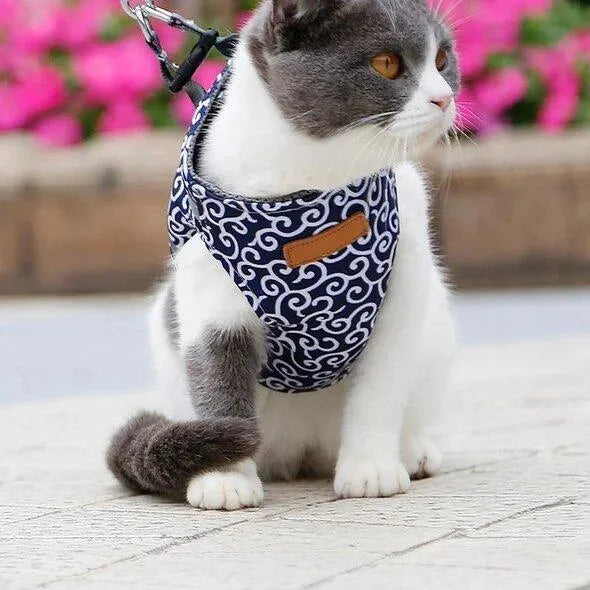 Adjustable Cat Harness and Leash Set