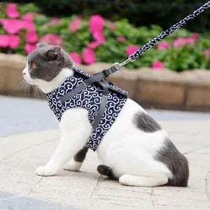 Adjustable Cat Harness and Leash Set