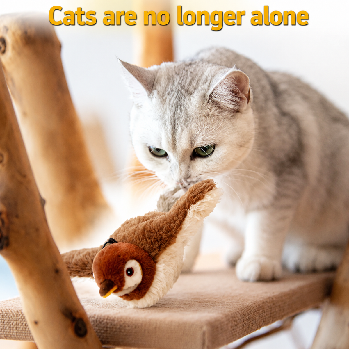 Interactive Plush Cat Toy